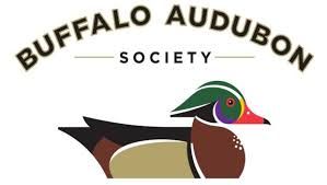 Buffalo Audubon Society